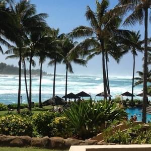 Meet your Posher, Jayne